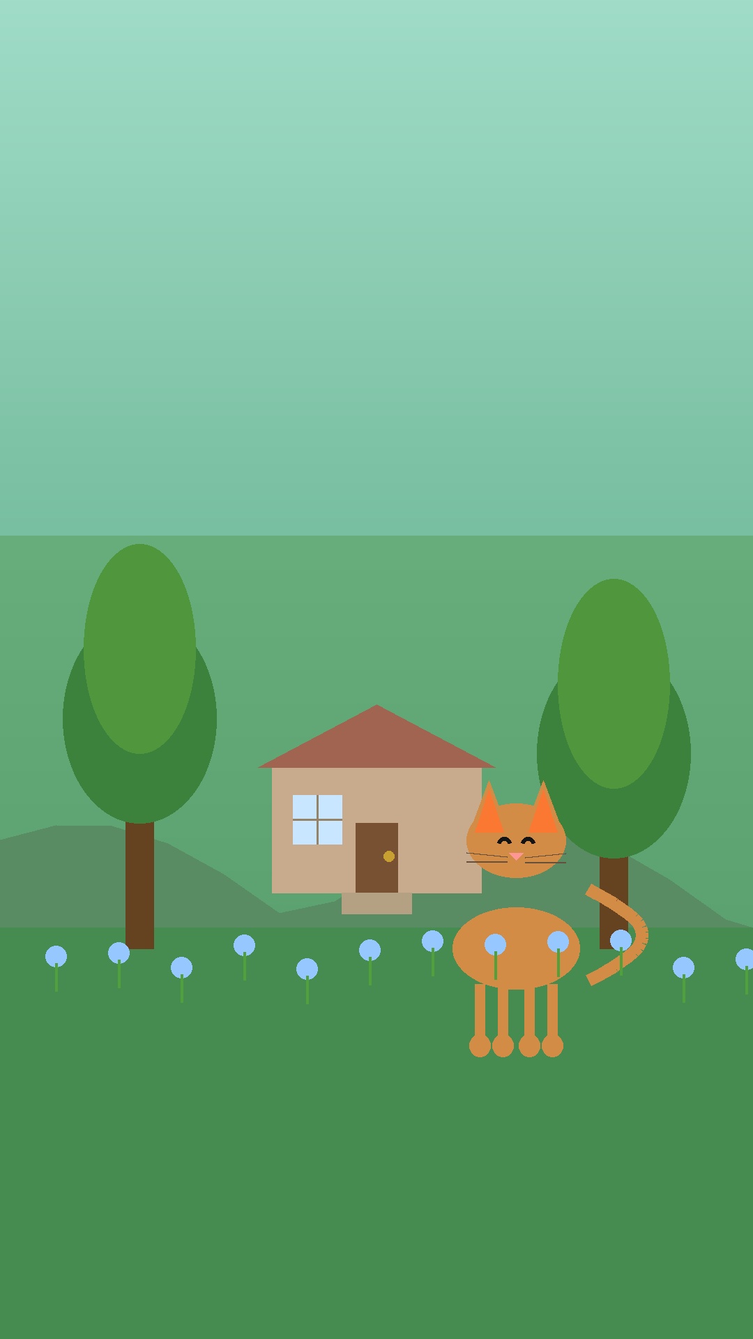 在一座小山村的边上，住着一只叫米米的小猫 封面图